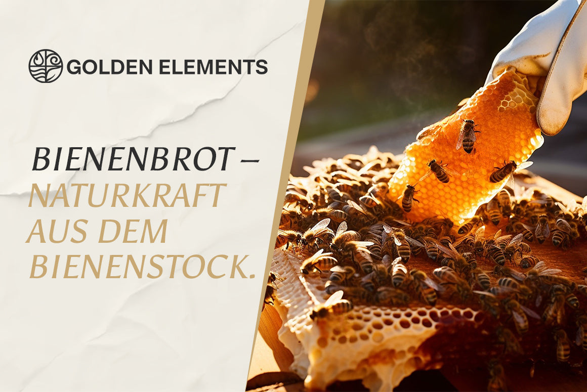 Bienenbrot in Nahaufnahme – fermentierter Blütenpollen für vielfältige Verwendung